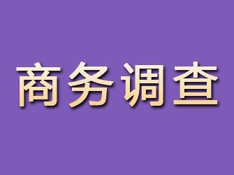 永安商务调查